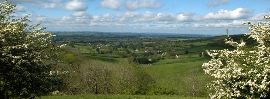 Batcombe view
