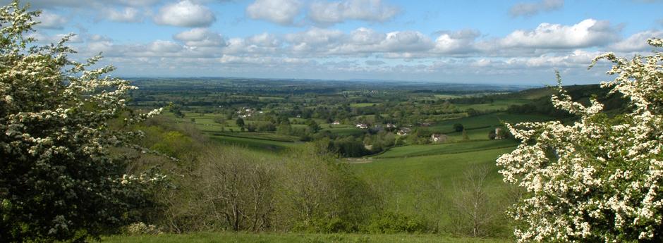 Batcombe view